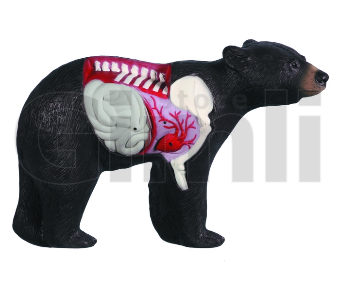 Rinehart Target 3D Anatomy Bear